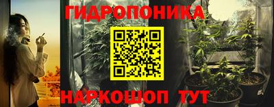 шишки Краснознаменск