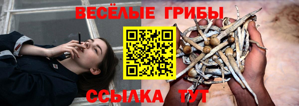 Псилоцибиновые грибы ЛСД  Вход с VPN  Псилоцибиновые грибы мухоморы  Назрань 