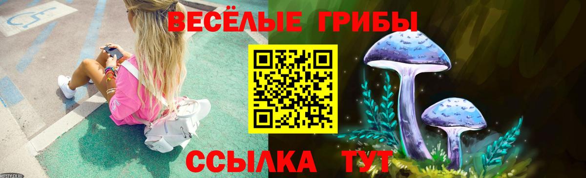 Галлюциногенные грибы Magic Shrooms Назрань