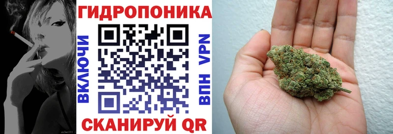 где можно купить наркотик  kraken как зайти  Бошки марихуана план  Назрань 